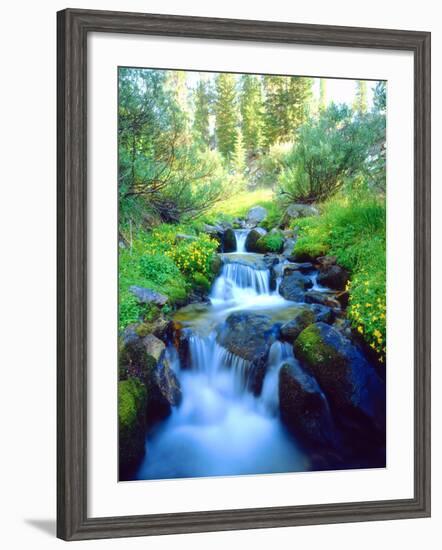 USA, California. Sky Meadows in the Sierra Nevada Mountains-Jaynes Gallery-Framed Photographic Print