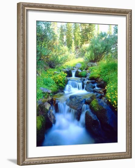 USA, California. Sky Meadows in the Sierra Nevada Mountains-Jaynes Gallery-Framed Photographic Print