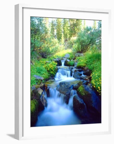 USA, California. Sky Meadows in the Sierra Nevada Mountains-Jaynes Gallery-Framed Photographic Print