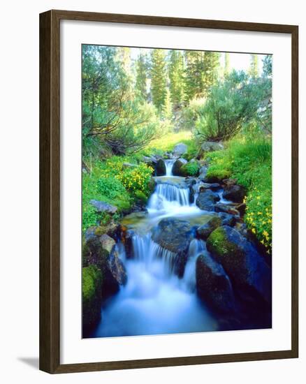 USA, California. Sky Meadows in the Sierra Nevada Mountains-Jaynes Gallery-Framed Photographic Print