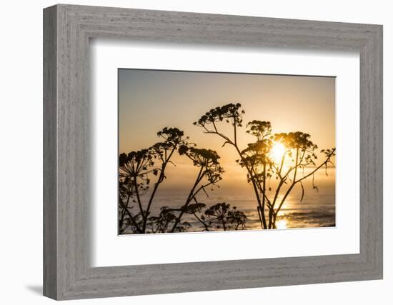 USA, California. Sunset over the Pacific Ocean, seen from Pacific Coast Highway-Alison Jones-Framed Photographic Print