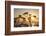 USA, California. Sunset over the Pacific Ocean, seen from Pacific Coast Highway-Alison Jones-Framed Photographic Print