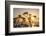 USA, California. Sunset over the Pacific Ocean, seen from Pacific Coast Highway-Alison Jones-Framed Photographic Print