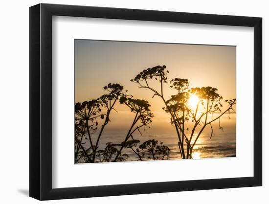 USA, California. Sunset over the Pacific Ocean, seen from Pacific Coast Highway-Alison Jones-Framed Photographic Print