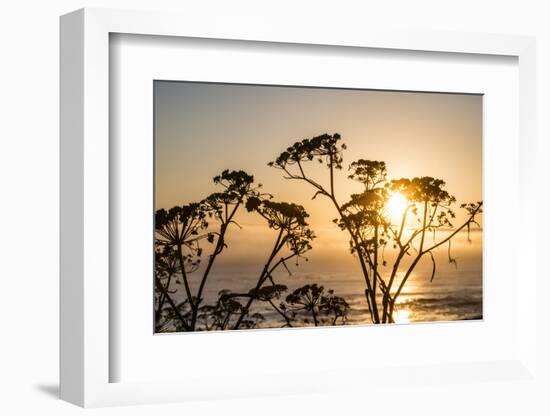 USA, California. Sunset over the Pacific Ocean, seen from Pacific Coast Highway-Alison Jones-Framed Photographic Print