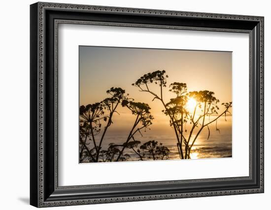 USA, California. Sunset over the Pacific Ocean, seen from Pacific Coast Highway-Alison Jones-Framed Photographic Print