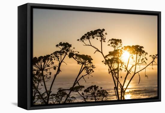 USA, California. Sunset over the Pacific Ocean, seen from Pacific Coast Highway-Alison Jones-Framed Premier Image Canvas