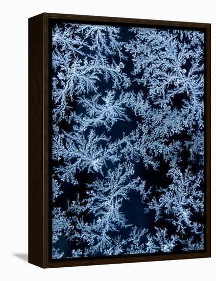 USA, California, Tahoe City, Morning Frost on Car Window-Ann Collins-Framed Premier Image Canvas