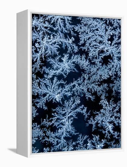 USA, California, Tahoe City, Morning Frost on Car Window-Ann Collins-Framed Premier Image Canvas