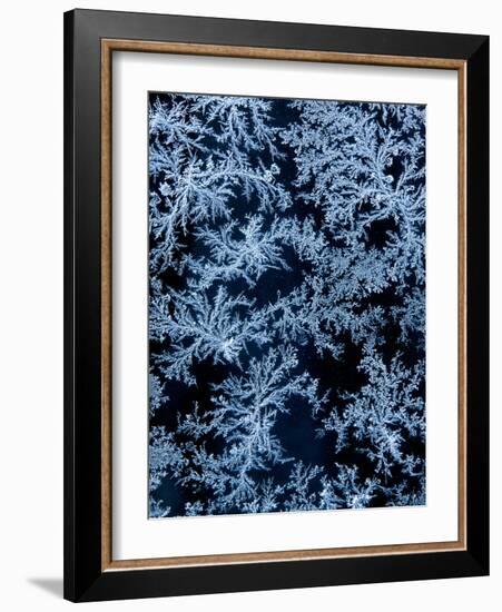 USA, California, Tahoe City, Morning Frost on Car Window-Ann Collins-Framed Photographic Print