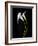 USA, California. Two calla lily flowers.-Jaynes Gallery-Framed Photographic Print