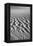 USA, California, Valley Dunes-John Ford-Framed Premier Image Canvas