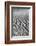 USA, California, Valley Dunes-John Ford-Framed Photographic Print