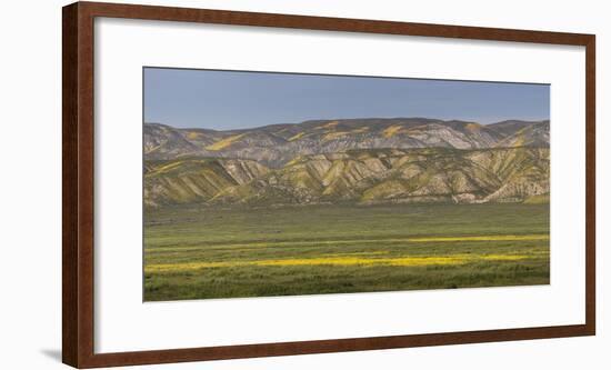 USA, California. Yellow wildflowers color plain and mountains.-Jaynes Gallery-Framed Photographic Print