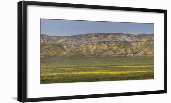 USA, California. Yellow wildflowers color plain and mountains.-Jaynes Gallery-Framed Photographic Print
