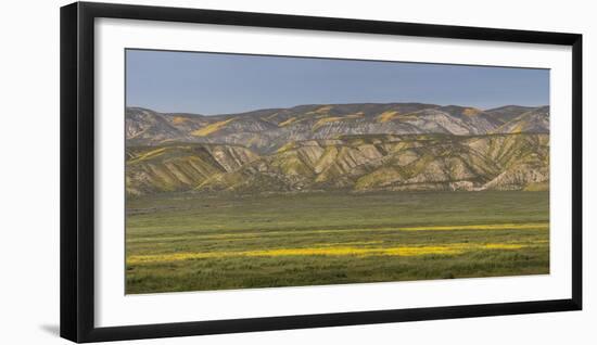 USA, California. Yellow wildflowers color plain and mountains.-Jaynes Gallery-Framed Photographic Print