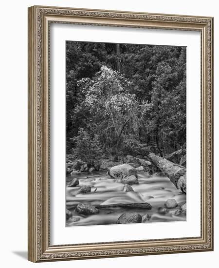 USA, California, Yosemite, Happy Isles-John Ford-Framed Photographic Print