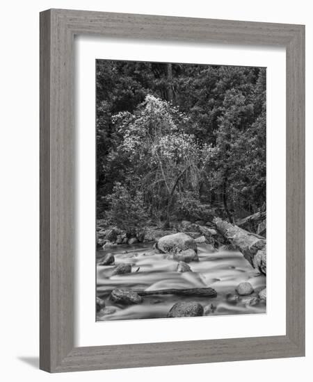 USA, California, Yosemite, Happy Isles-John Ford-Framed Photographic Print