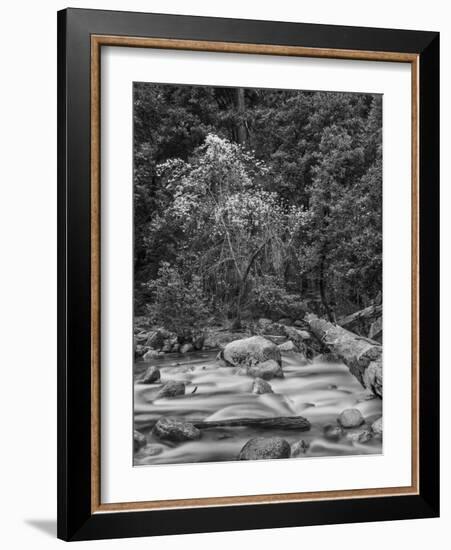 USA, California, Yosemite, Happy Isles-John Ford-Framed Photographic Print