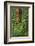 USA, California, Yosemite National Park. Giant Sequoia in Tuolumne Grove-Ann Collins-Framed Photographic Print