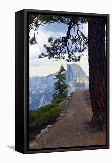 USA, California, Yosemite National Park, Half Dome, Glacier Point-Bernard Friel-Framed Premier Image Canvas