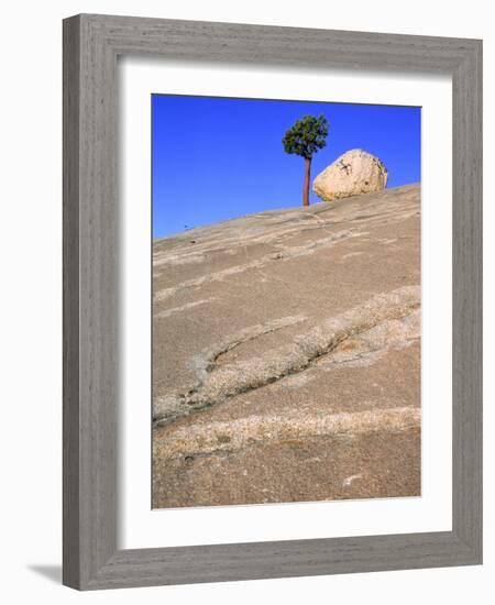 USA, California, Yosemite National Park, Pine tree and rock-Theo Allofs-Framed Photographic Print