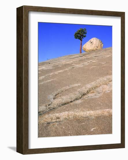 USA, California, Yosemite National Park, Pine tree and rock-Theo Allofs-Framed Photographic Print