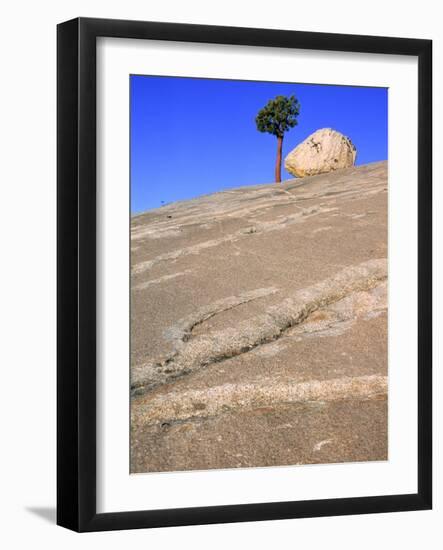 USA, California, Yosemite National Park, Pine tree and rock-Theo Allofs-Framed Photographic Print