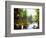 USA, California, Yosemite National Park. the Merced River-Jaynes Gallery-Framed Photographic Print