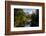 USA California. Yosemite National Park, Yosemite Valley over Merced River.-Alison Jones-Framed Photographic Print