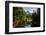 USA California. Yosemite National Park, Yosemite Valley over Merced River.-Alison Jones-Framed Photographic Print