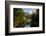 USA California. Yosemite National Park, Yosemite Valley over Merced River.-Alison Jones-Framed Photographic Print