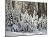 USA, California, Yosemite National Park-Zandria Muench Beraldo-Mounted Photographic Print