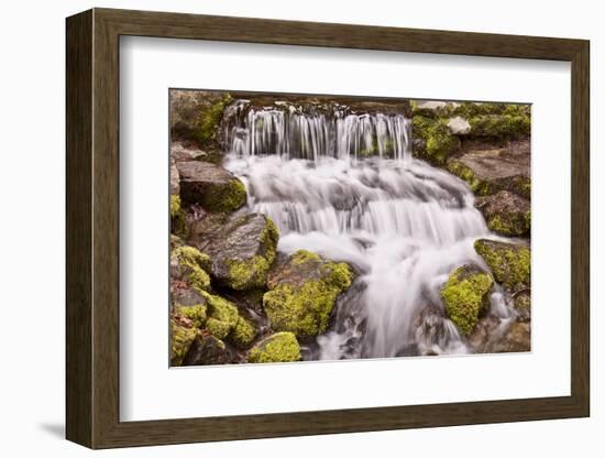 USA, California, Yosemite, Small Falls-John Ford-Framed Photographic Print