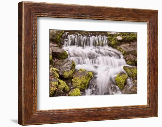 USA, California, Yosemite, Small Falls-John Ford-Framed Photographic Print