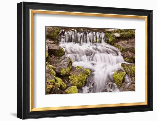 USA, California, Yosemite, Small Falls-John Ford-Framed Photographic Print