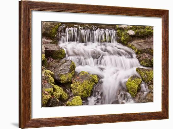 USA, California, Yosemite, Small Falls-John Ford-Framed Photographic Print
