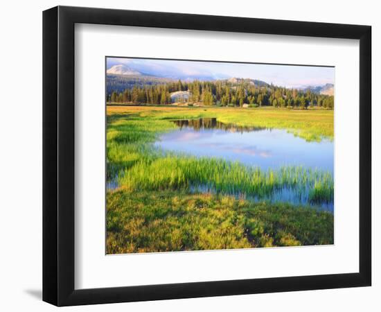 USA, California, Yosemite the Tuolumne River in Tuolumne Meadows-Jaynes Gallery-Framed Photographic Print