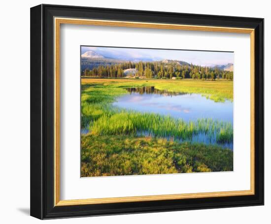 USA, California, Yosemite the Tuolumne River in Tuolumne Meadows-Jaynes Gallery-Framed Photographic Print