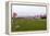 USA, Cemetery, Memorial-Day, Flags-Catharina Lux-Framed Premier Image Canvas