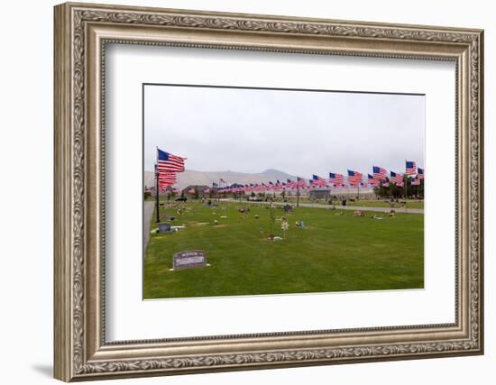 USA, Cemetery, Memorial-Day, Flags-Catharina Lux-Framed Photographic Print