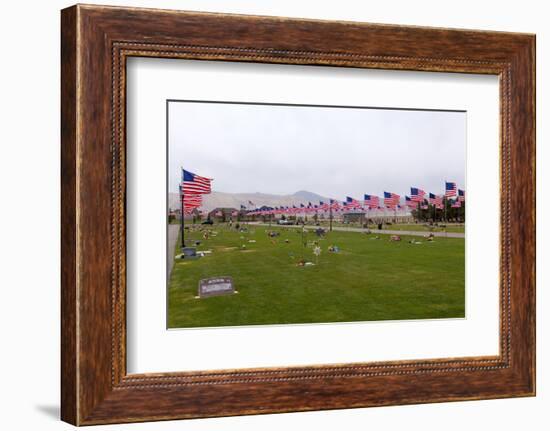 USA, Cemetery, Memorial-Day, Flags-Catharina Lux-Framed Photographic Print