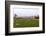 USA, Cemetery, Memorial-Day, Flags-Catharina Lux-Framed Photographic Print