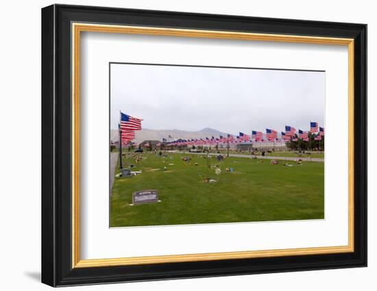 USA, Cemetery, Memorial-Day, Flags-Catharina Lux-Framed Photographic Print