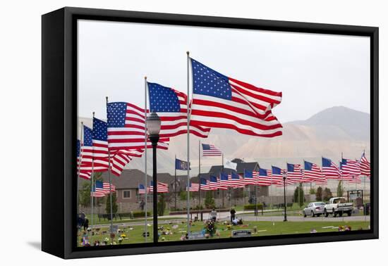 USA, Cemetery, Memorial-Day, Flags-Catharina Lux-Framed Premier Image Canvas