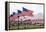 USA, Cemetery, Memorial-Day, Flags-Catharina Lux-Framed Premier Image Canvas