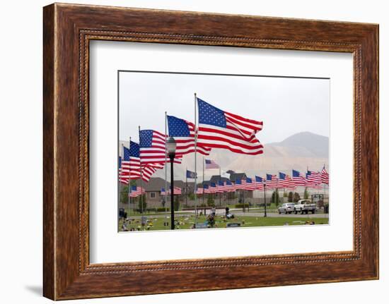 USA, Cemetery, Memorial-Day, Flags-Catharina Lux-Framed Photographic Print