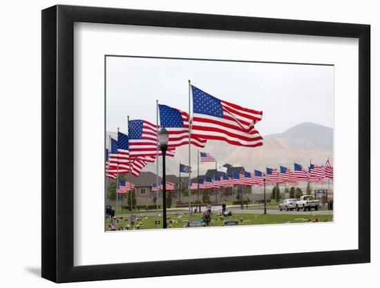 USA, Cemetery, Memorial-Day, Flags-Catharina Lux-Framed Photographic Print