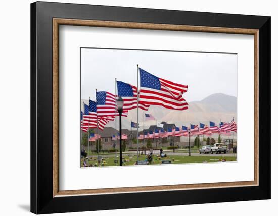 USA, Cemetery, Memorial-Day, Flags-Catharina Lux-Framed Photographic Print