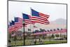 USA, Cemetery, Memorial-Day, Flags-Catharina Lux-Mounted Photographic Print